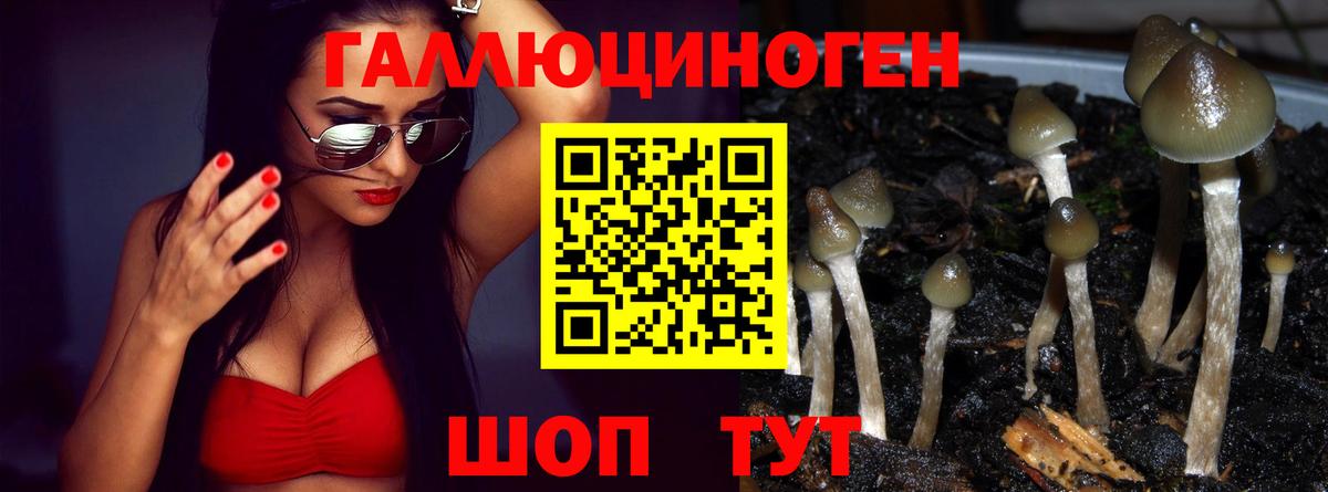 Нурлат  Cocaine  Канабис  Alpha-PVP СК   МАРИХУАНА  ГАШИШ  Лсд 25  Вход с VPN  Меф МЯУ МЯУ кристаллы 